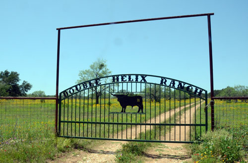 Double Helix Ranch Gate, May 2012