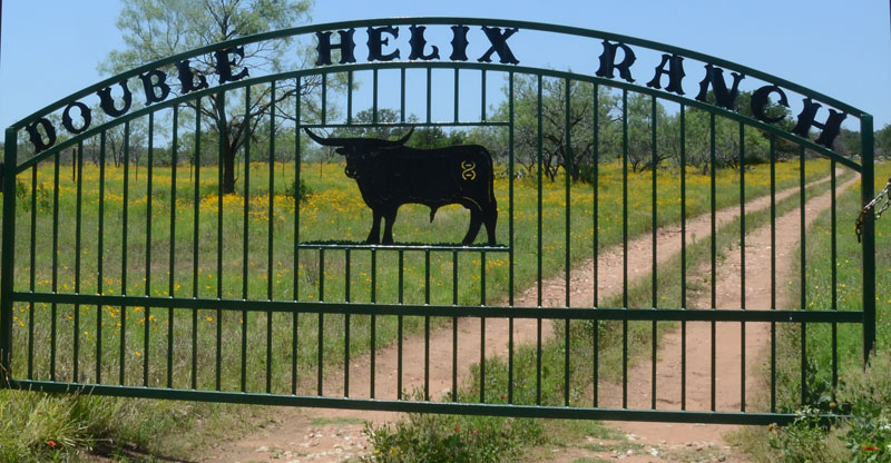 Double Helix Ranch Gate